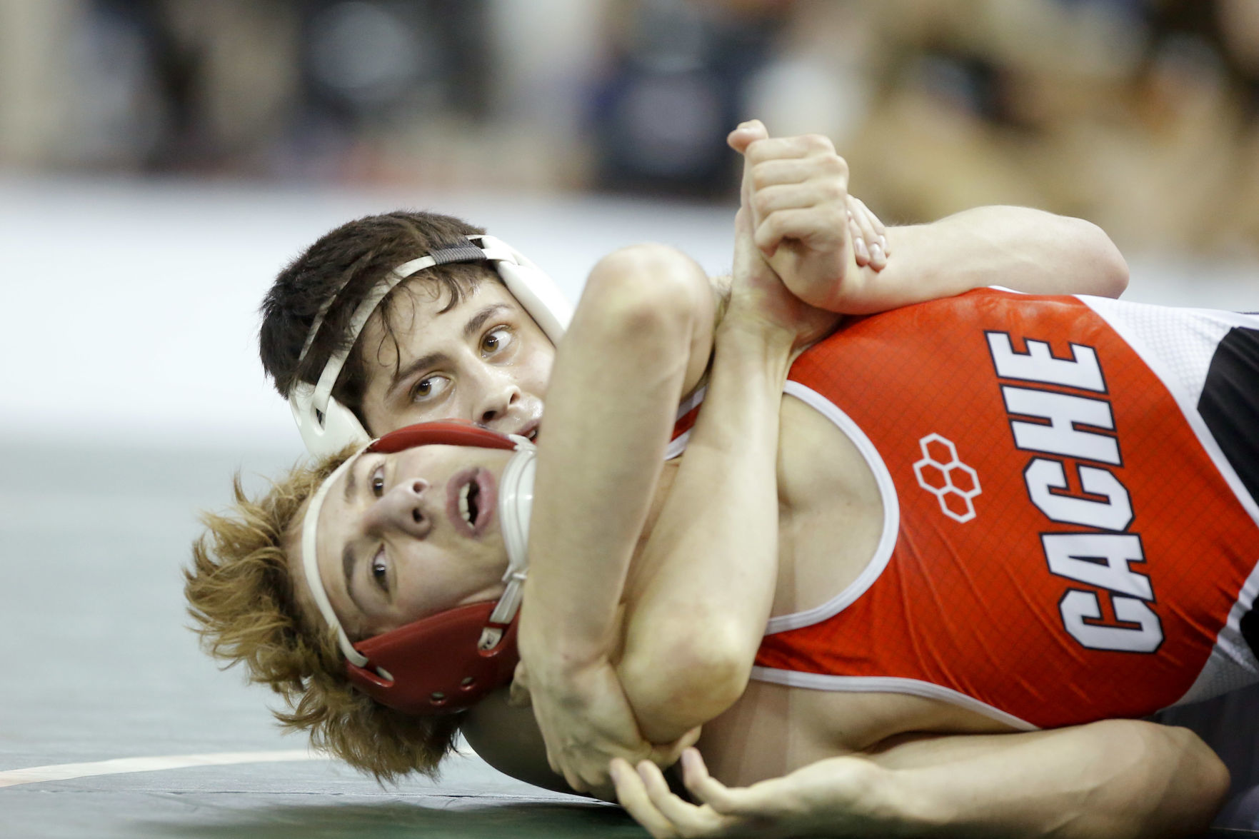 Semifinals of state wrestling tournament
